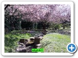 Gärten der Welt - Japanischer Garten